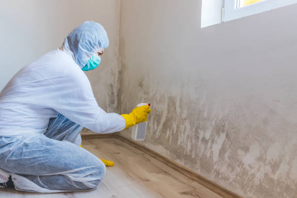 Hvac And Air Duct Mold Remediation inspection of HVAC system in Alto